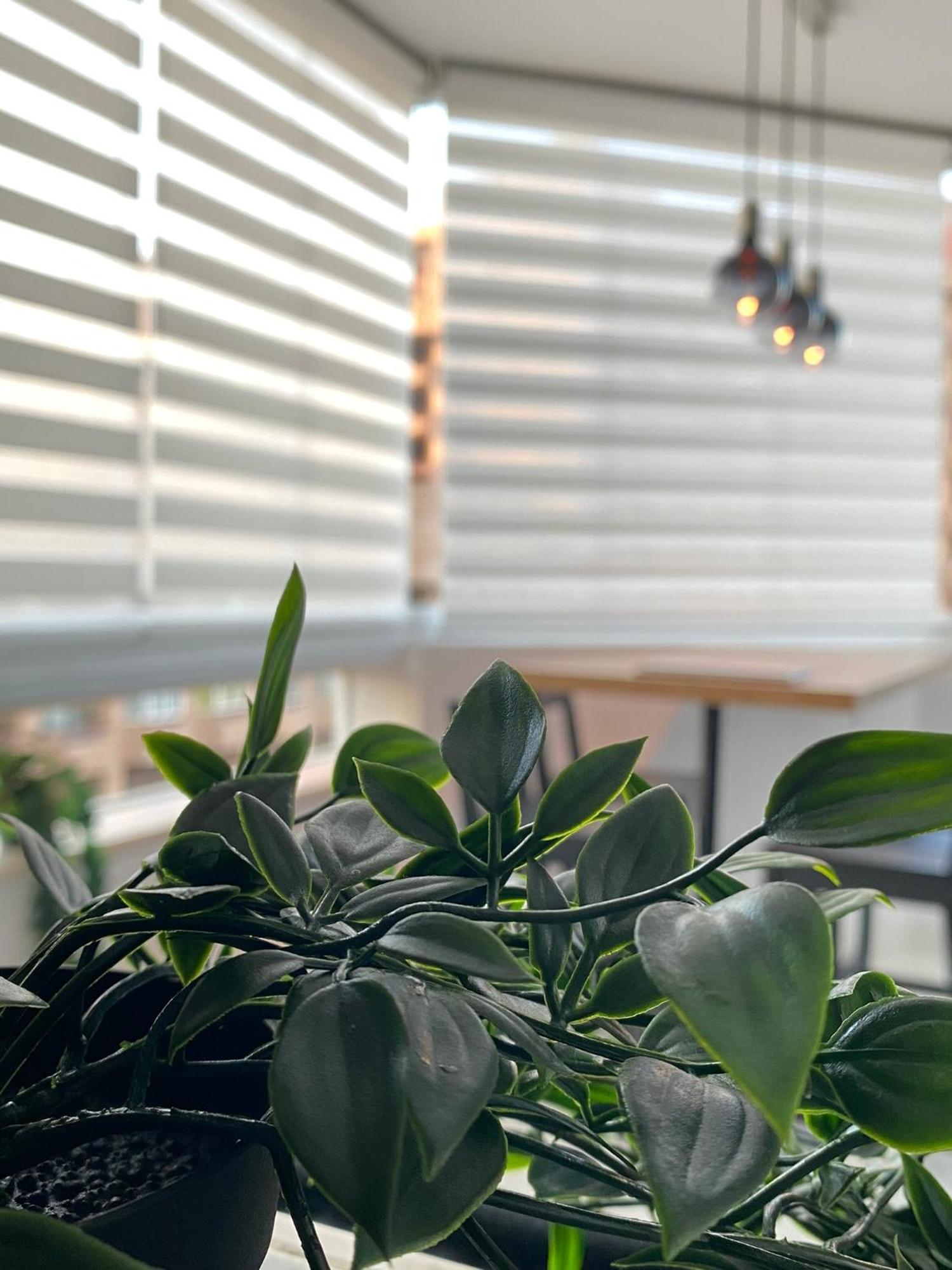 Apartment Modern And Bright By Marina *